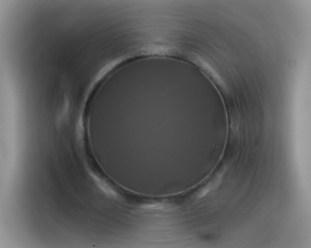 X0000114070674200910131207