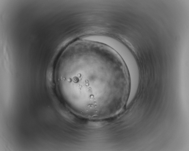 X0000114070679200910131206