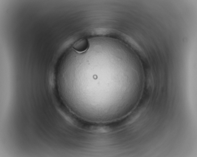 X0000114070683200910131206