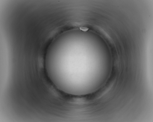 X0000114070689200910131206