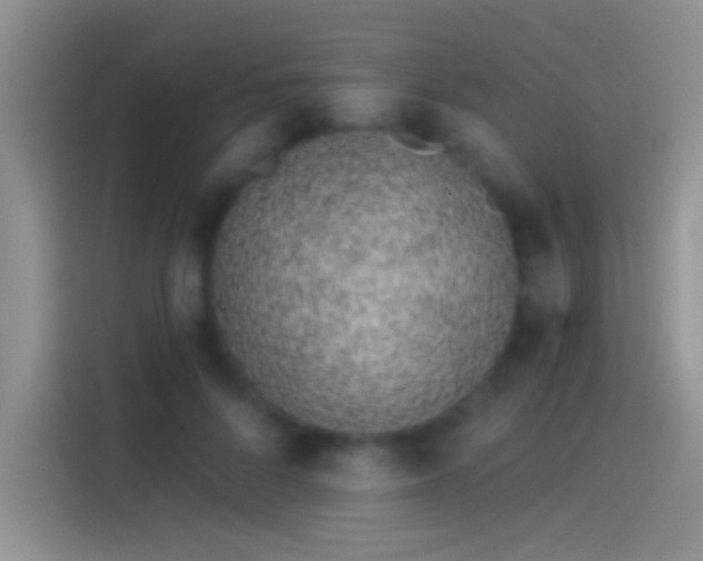 X0000114070696200910131206