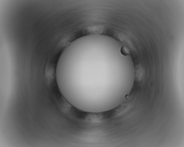 X0000114070713200910131206