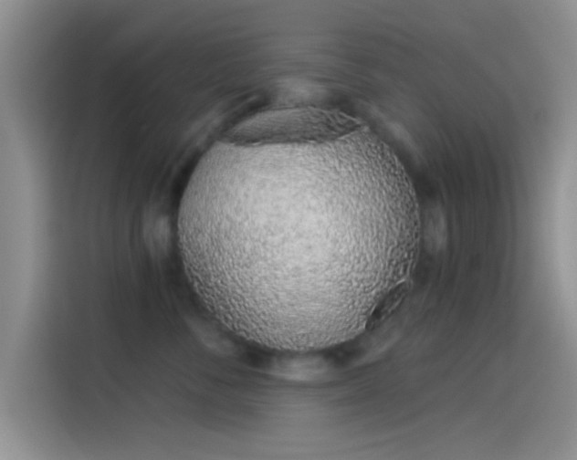 X0000114070716200910131206