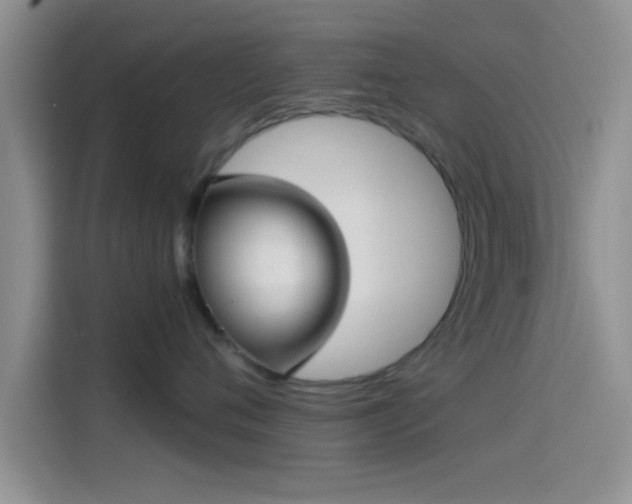 X0000114070720200910131206