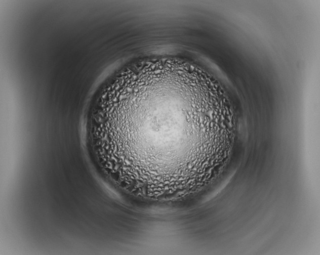 X0000114070725200910131205