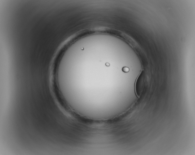 X0000114070728200910131205