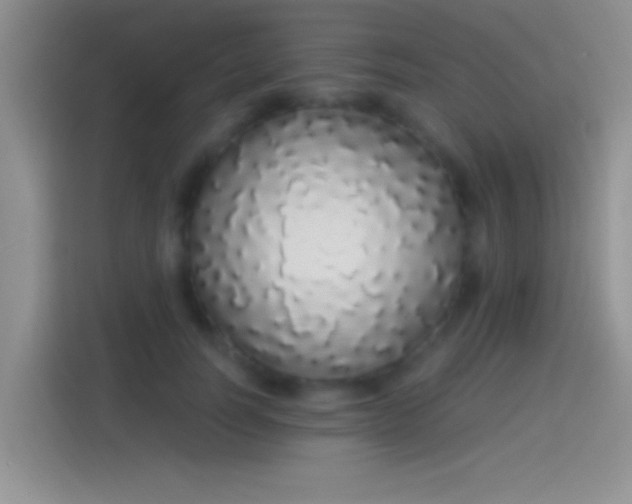 X0000114070746200910131206