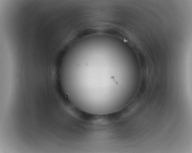 X0000114070750200910131206