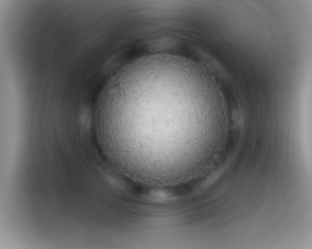 X0000114070753200910131206