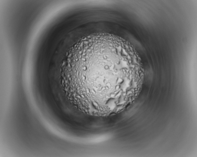 X0000114070765200910131206