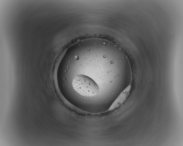 X0000114070769200910131205