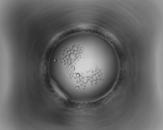 X0000114070776200910131205