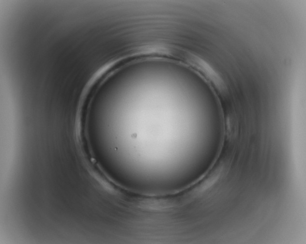 X0000114070780200910131205