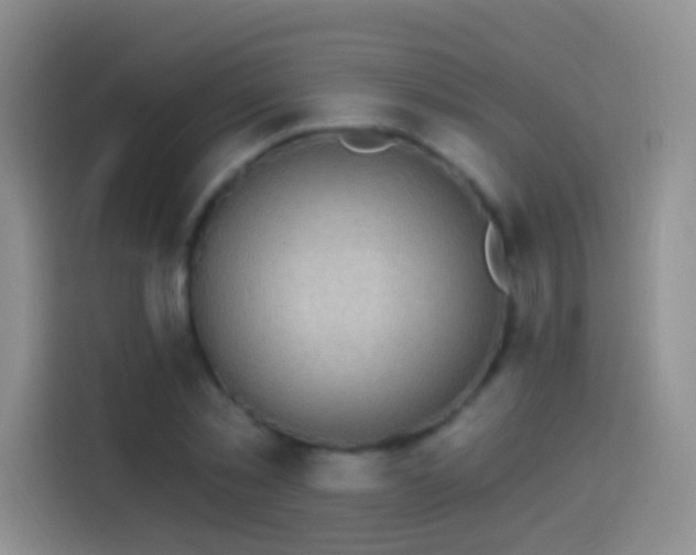 X0000114070781200910131205