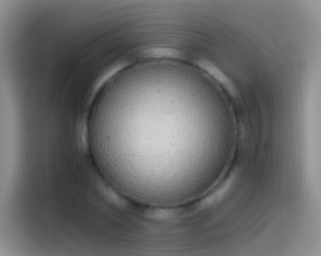 X0000114070782200910131205