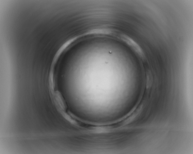 X0000114070796200910131205