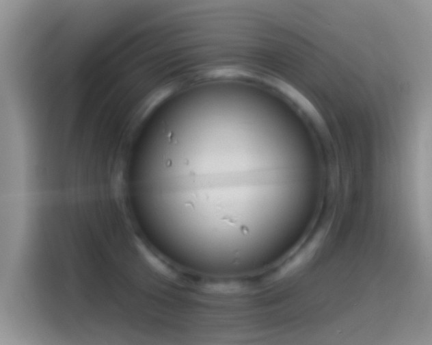 X0000114070801200910131205