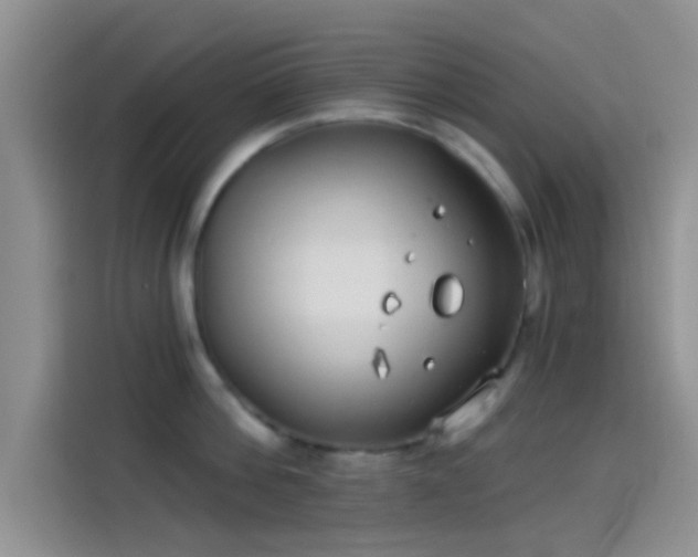 X0000114070812200910131205