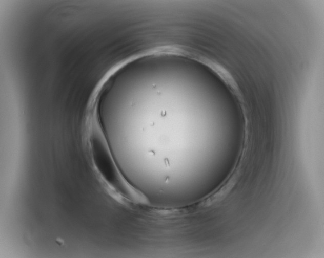 X0000114070816200910131205