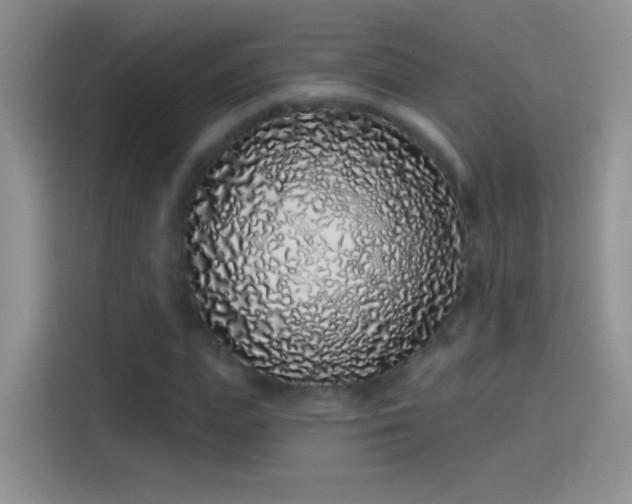 X0000114070823200910131204