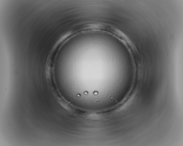 X0000114070827200910131204