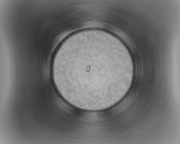 X0000114070828200910131204