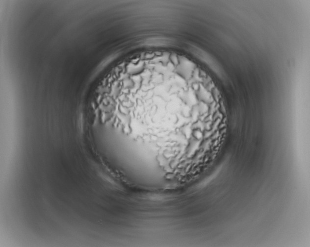 X0000114070829200910131204