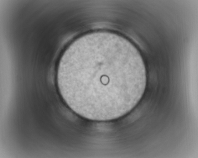 X0000114070832200910131204