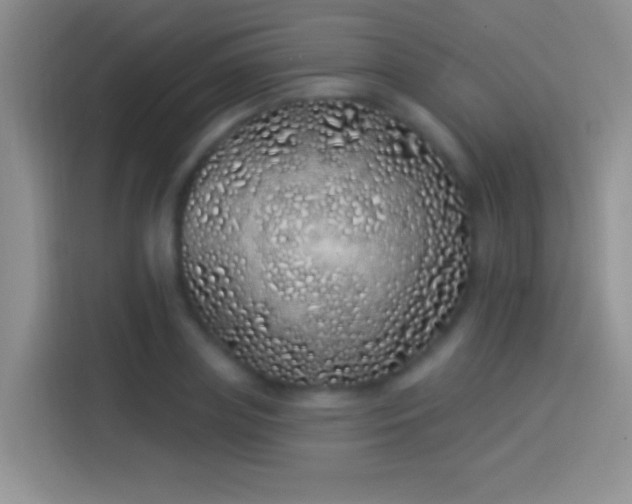 X0000114070835200910131204