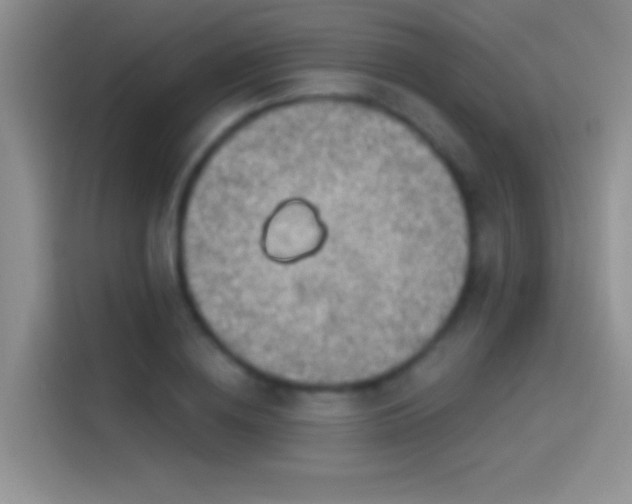 X0000114070836200910131204