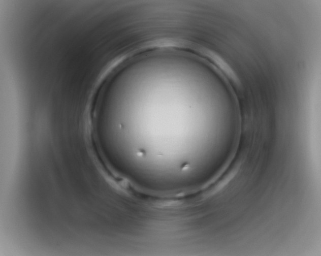 X0000114070837200910131204