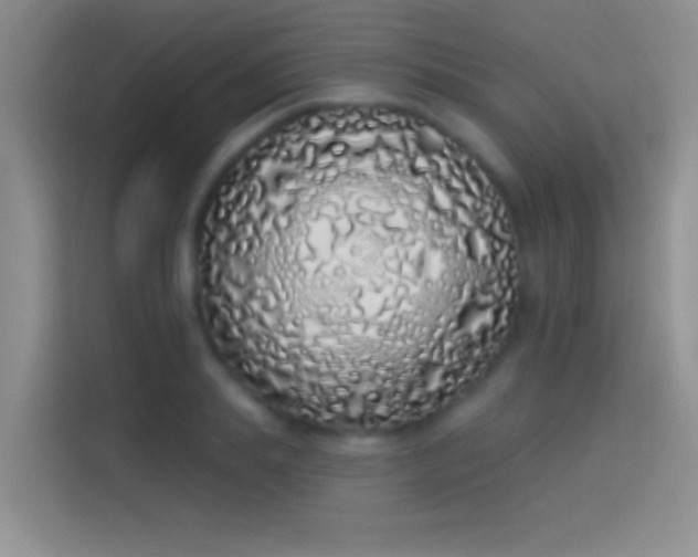 X0000114070839200910131204