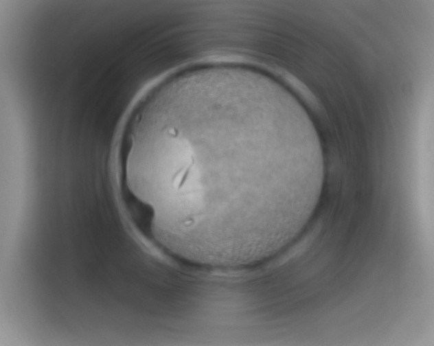 X0000114070840200910131204