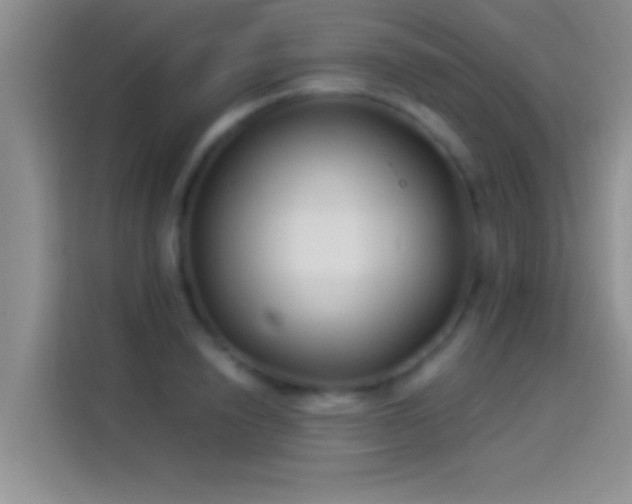 X0000114070846200910131204