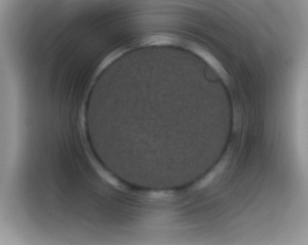 X0000114070850200910131204