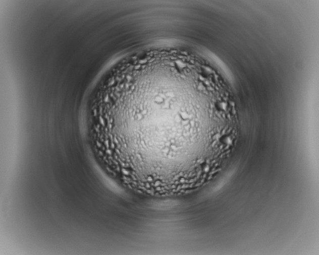 X0000114070851200910131204