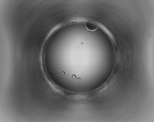 X0000114070861200910131204