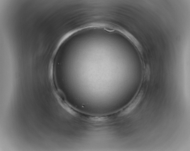 X0000114070862200910131204