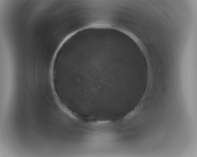 X0000114070864200910131204