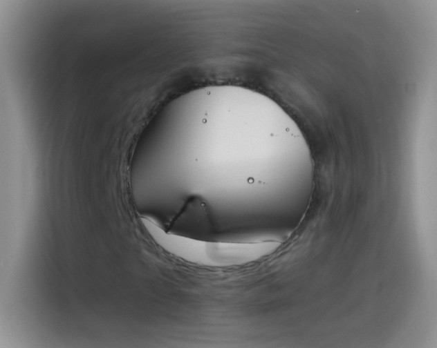 X0000114070865200910131204