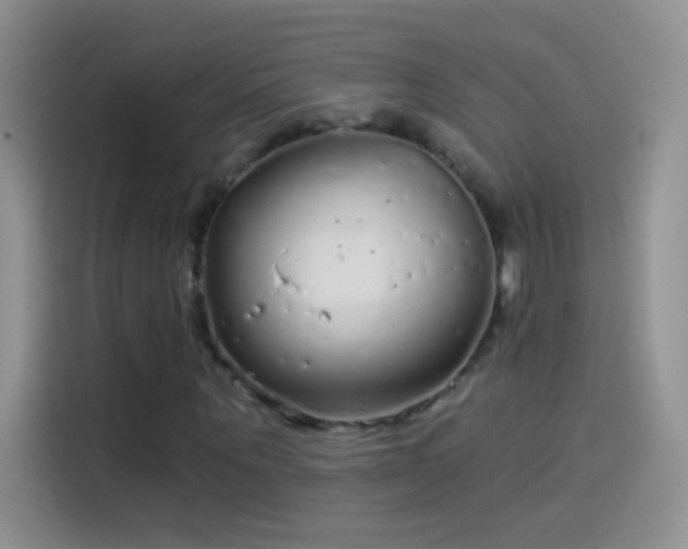 X0000114070867200910131204