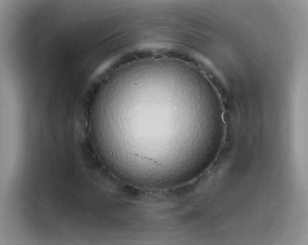 X0000114070871200910131204