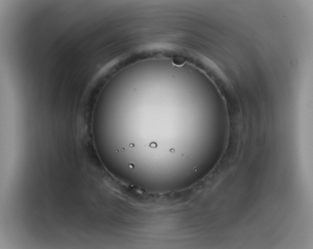 X0000114070872200910131204