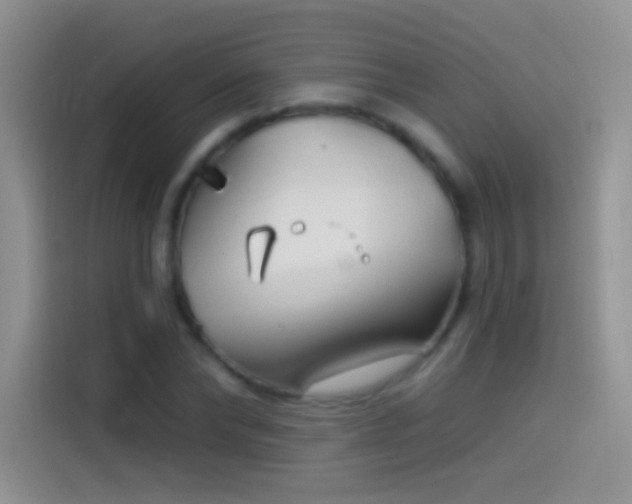 X0000114070878200910131204