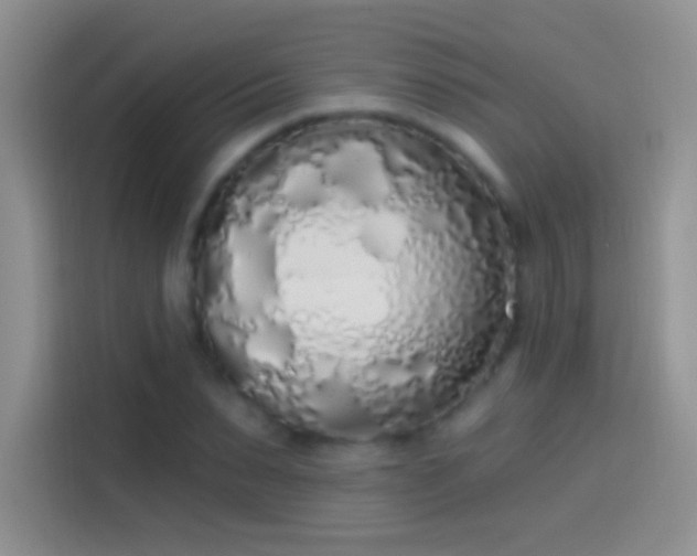 X0000114070879200910131204