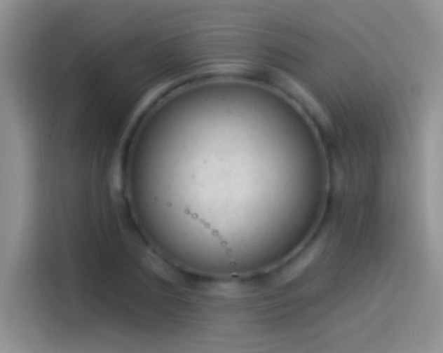 X0000114070883200910131204