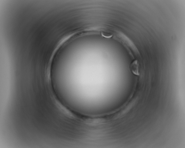 X0000114070884200910131204