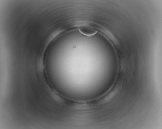 X0000114070885200910131204