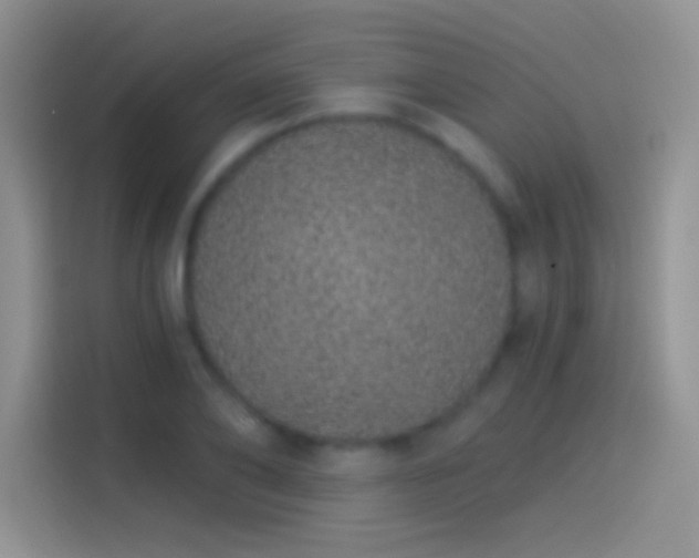 X0000114070886200910131204