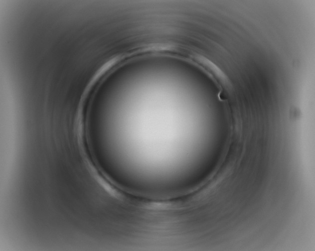 X0000114070894200910131203